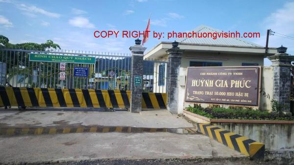 Ep phan heo trang  trai huynh gia phuc